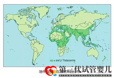 地中海貧血怎么辦泰國第三代試管避免子代遺傳(圖2)