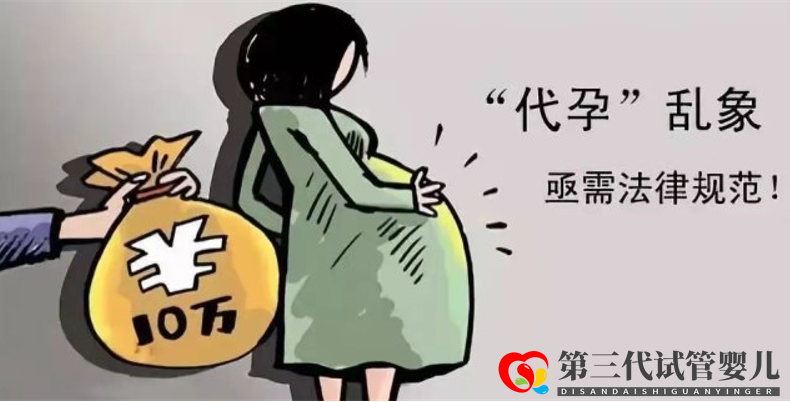 暗訪國內(nèi)私立供卵試管助孕機(jī)構(gòu)，揭開咨詢代孕地下產(chǎn)業(yè)的不法內(nèi)幕(圖4)