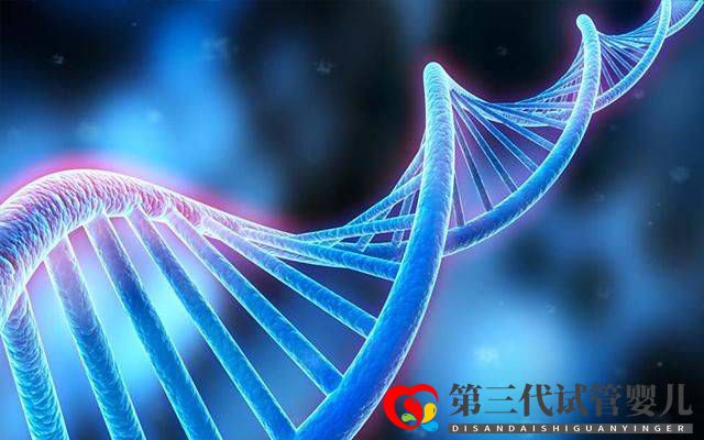 為什么父母染色體正常，胚胎染色體卻有問題？(圖2)