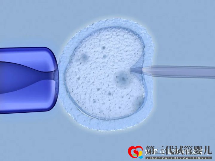 試管嬰兒1代、2代、3代、4代哪個(gè)最好真實(shí)操作過(guò)...(圖11)