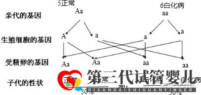 泰國(guó)三代試管PGD技術(shù)能解決白化病的遺傳問題嗎(圖1)