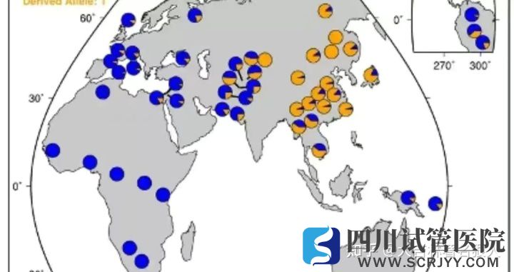 美國34%的混血兒患精神障礙_一文顛覆你對混血寶寶...(圖4)